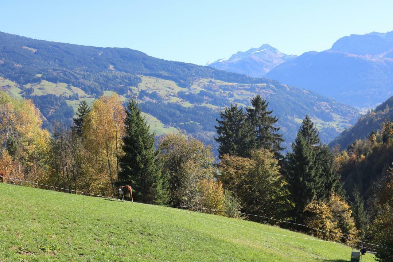 Gerlossteinblick