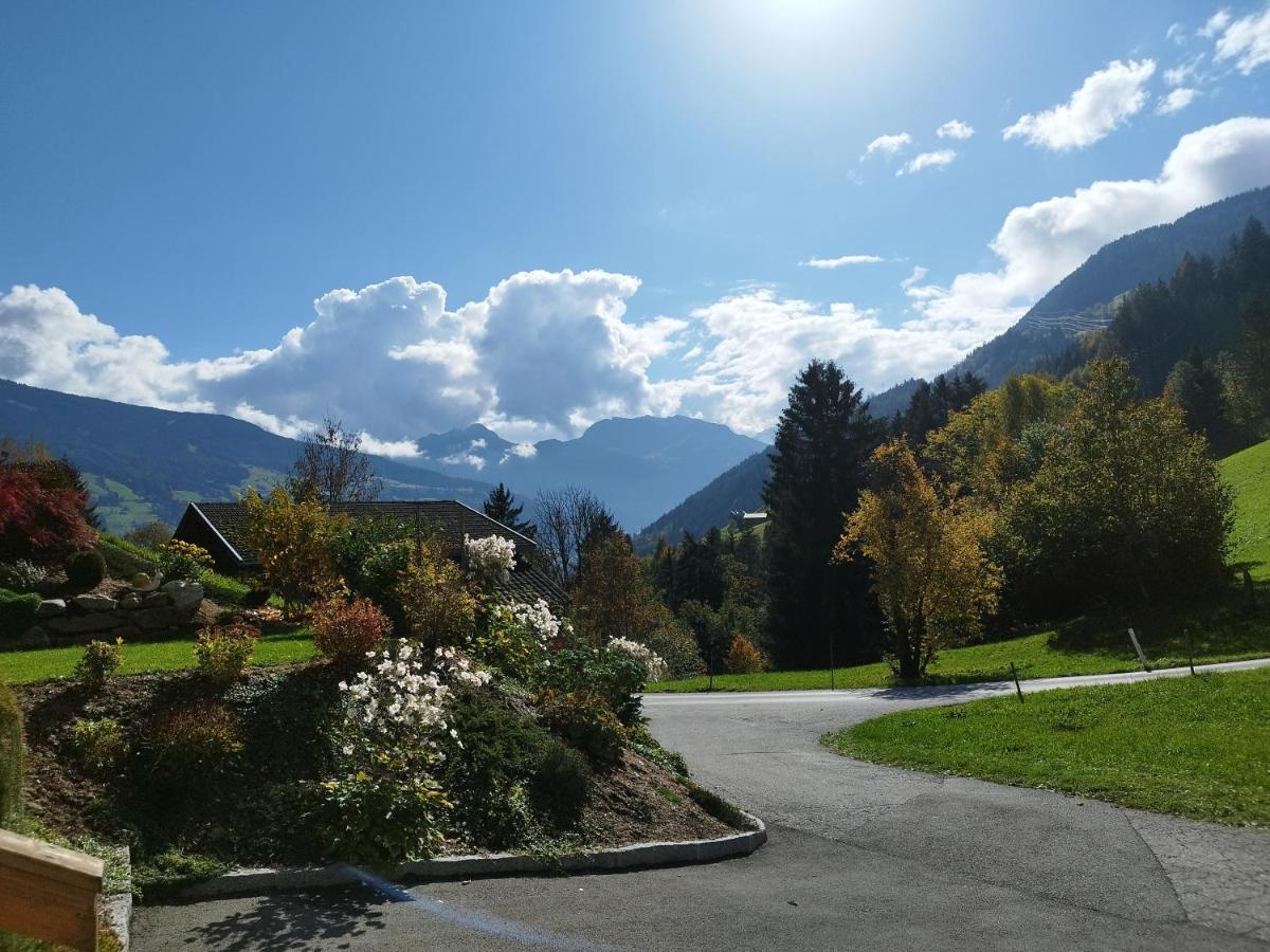 Gerlossteinblick