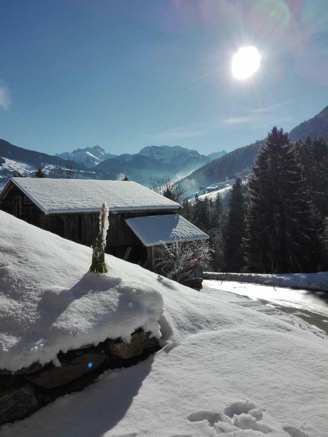 Gerlossteinblick Apartment Aschau Im Zillertal